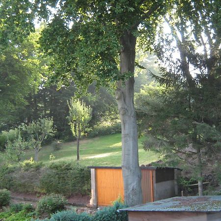 Ferienwohnung Sauerland Panorama Korbach Kültér fotó