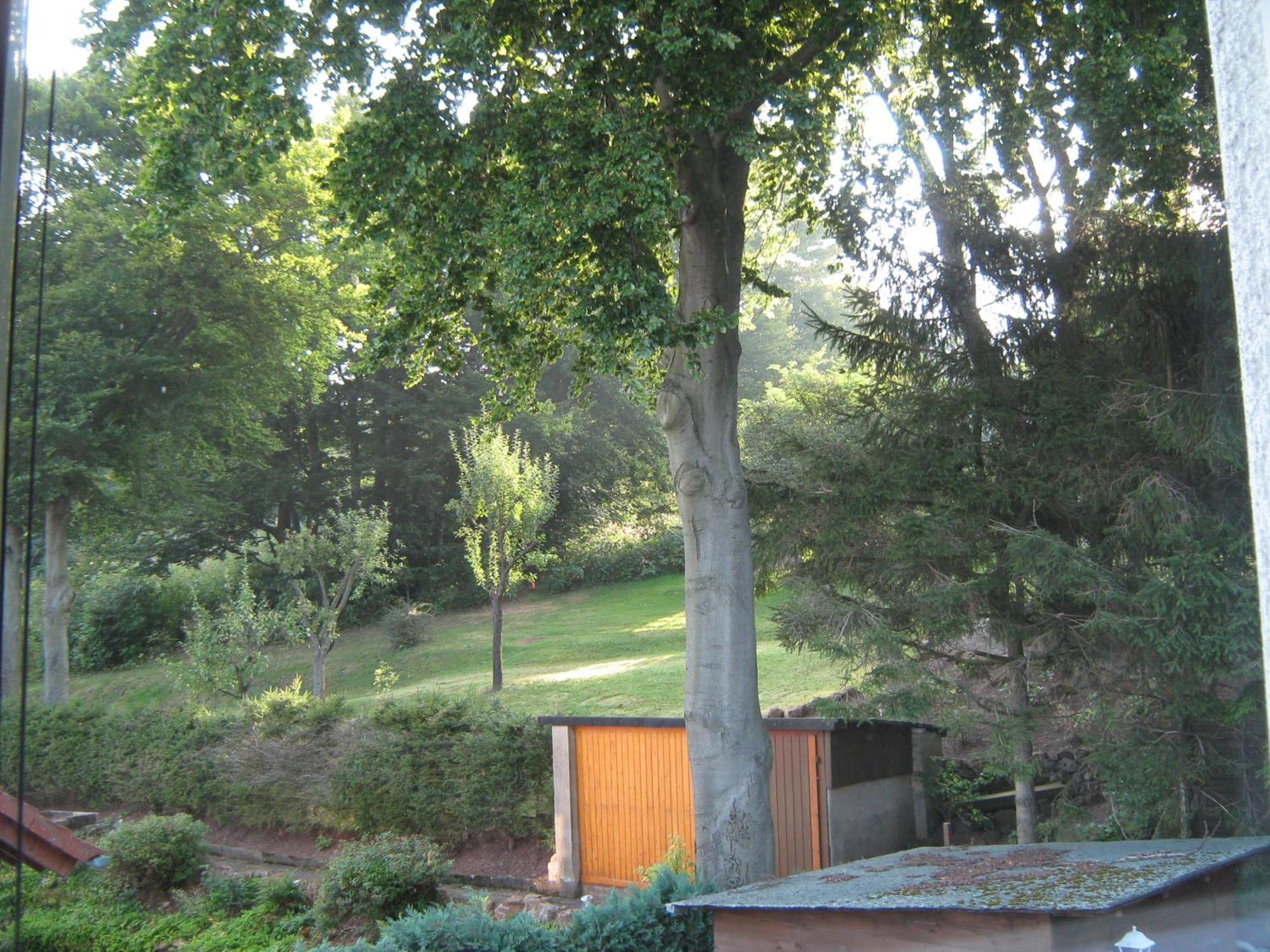 Ferienwohnung Sauerland Panorama Korbach Kültér fotó